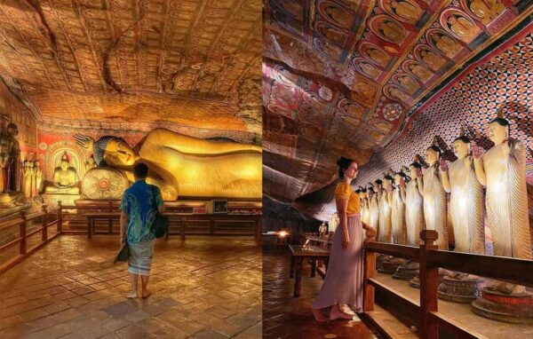 From Kandy: Sigiriya Transfer With Safari and Dambulla Rock - Recommendations for Participants
