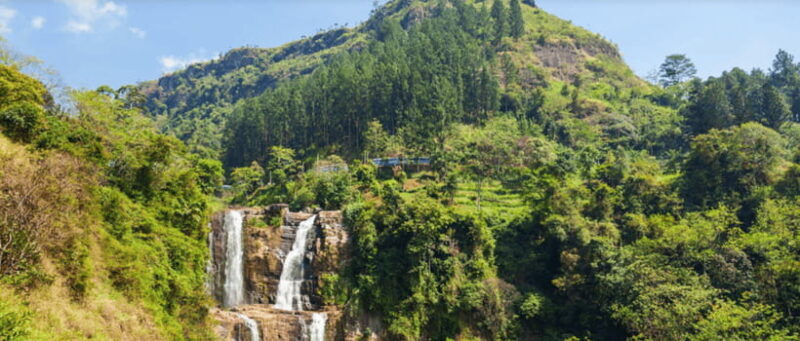 From Kandy: Tea Factory Tour with Ramboda Waterfall Visit - An In-Depth Look at the Tour Experience