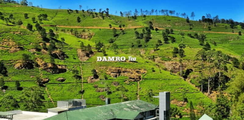 From Kandy: Tea Factory Tour with Ramboda Waterfall Visit - Practical Tips for Making the Most of Your Tour