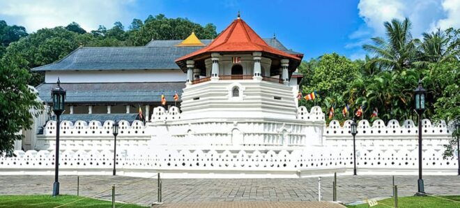 From : Kandy To Ambuluwawa Tower Tuk Tuk Tour - Customer Reviews