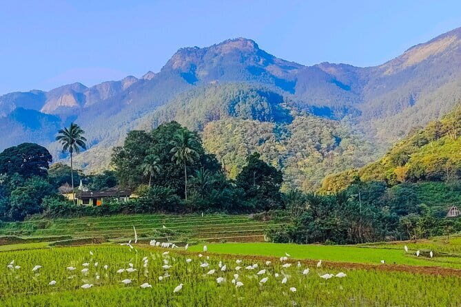 From Kandy to ELLA Private day tour - FAQ