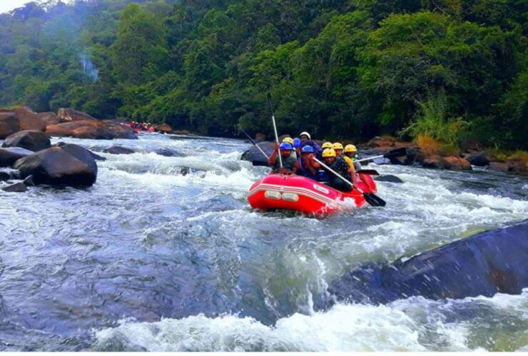 From Kandy: White Water Rafting in Kithulgala - Experience Highlights