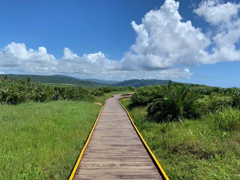 From Kaohsiung: Kenting & Ocean Coast Private Day Tour - Good To Know