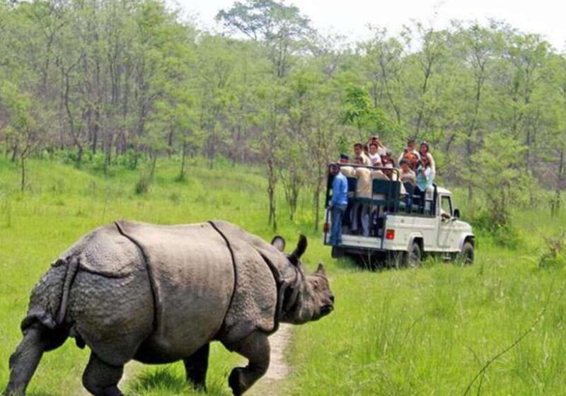 From Kathmandu: 1 Night 2-Day Chitwan Jungle Tour - The Experience in Detail