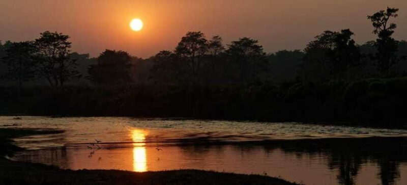 From Kathmandu: 1 Night 2-Day Chitwan Jungle Tour - Cultural Immersion: Tharu Village and Cultural Program