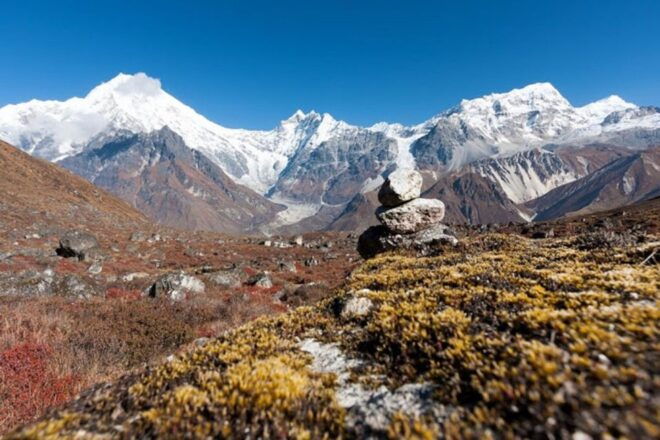 From Kathmandu: 10-Day Langtang Valley Guided Trek - Accommodation and Meals on the Trek