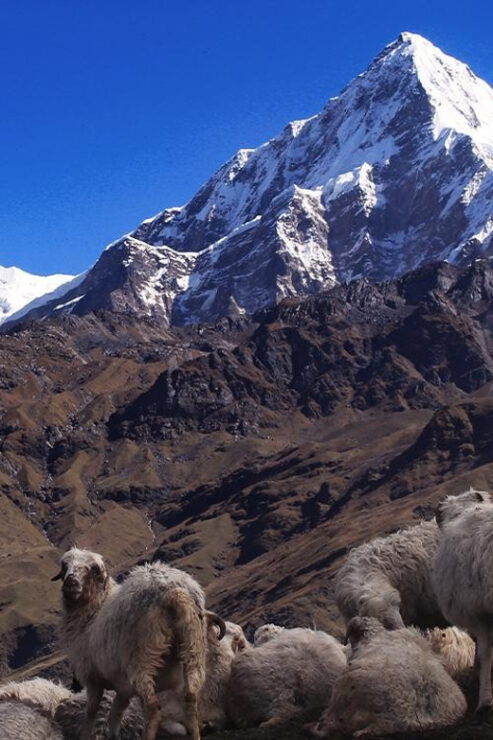 From Kathmandu: 11 Day Khopra Hill & Khayer Lake Nature Trek - Important Information