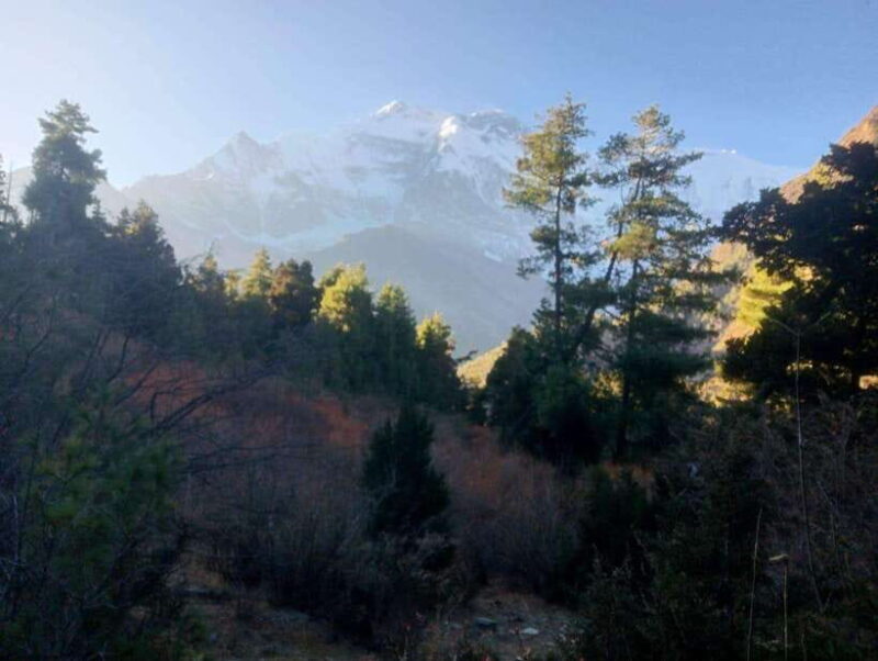 From Kathmandu: 12-Day Annapurna Circuit Trek - Physical Demands and Preparation