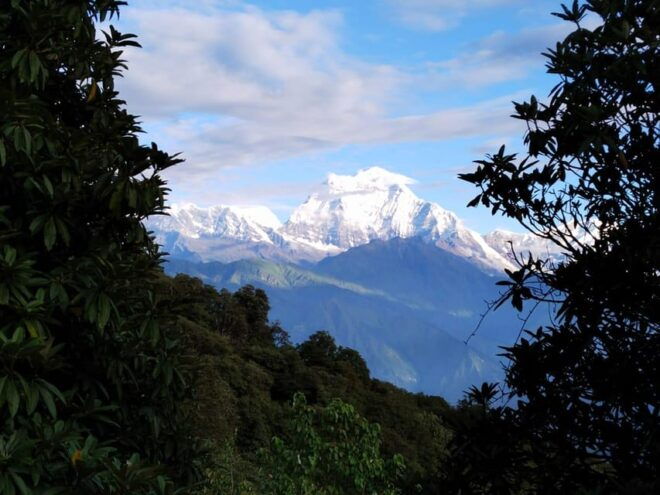 From Kathmandu: 12 Day Khopra Hill With Khair Lake Trek - Inclusions and Exclusions