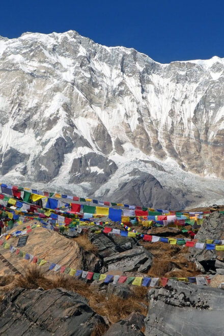From Kathmandu: 12 Days Annapurna Basecamp & Poon Hill Trek - Inclusions and Services