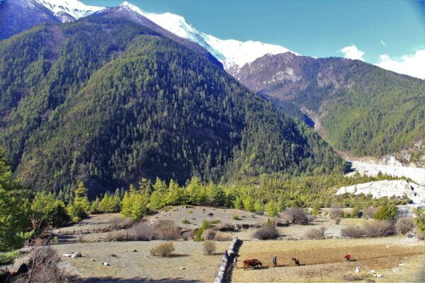 From Kathmandu: 14 Day Annapurna Circuit Trek From Kathmandu - Break Down