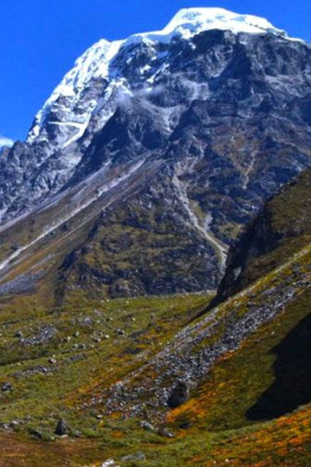 From Kathmandu: 14-Day Langtang Valley & Gosainkunda Trek - Included Services