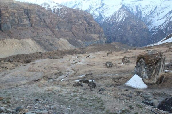 From Kathmandu: 14 Day Poon Hill & Annapurna Base Camp Trek - Preparation Tips