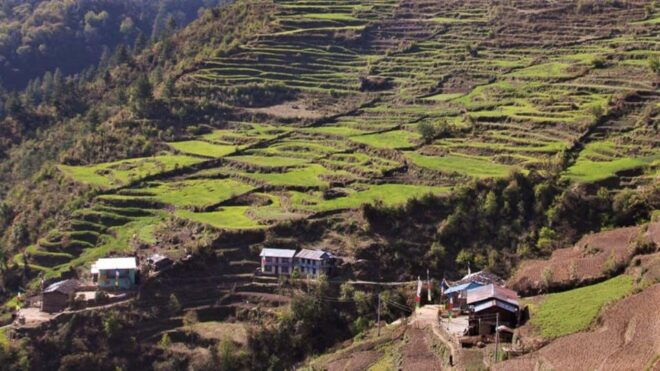 From Kathmandu : 15 Day Langtang & Gosaikunda Private Trek - Daily Itinerary