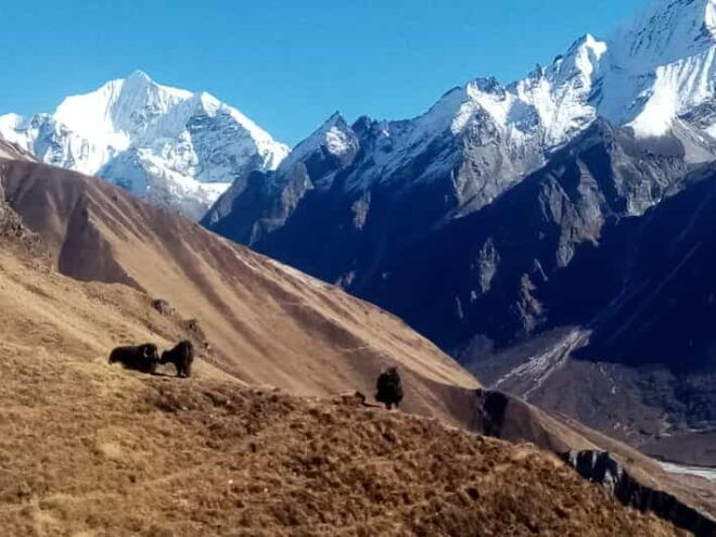 From Kathmandu: 15 Day Manaslu Circuit Trek - Trekking Experience and Highlights
