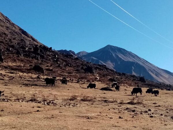 From Kathmandu: 15 Day Manaslu Circuit Trek - Questions You May Have