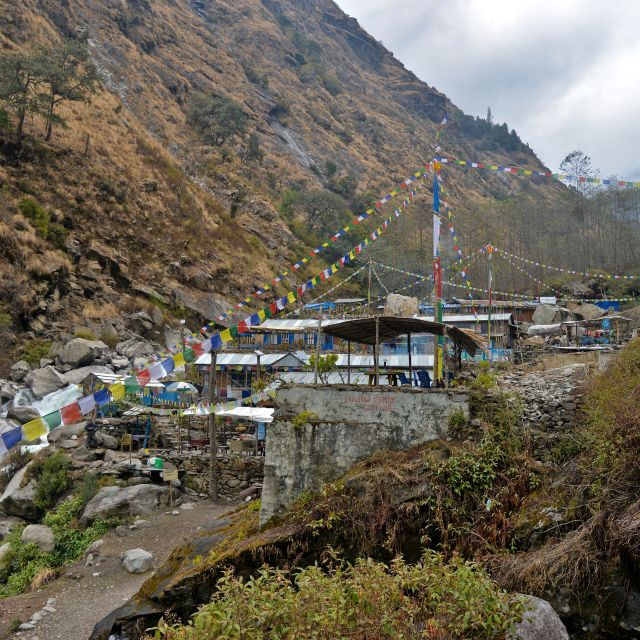 From Kathmandu: 16-Day Langtang Valley Trekking Tour - Inclusions