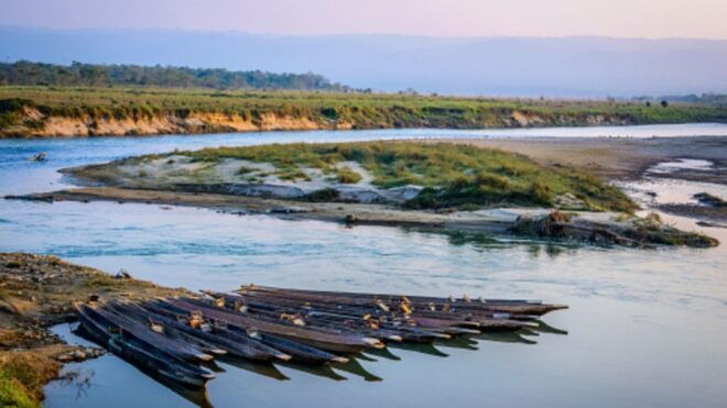 From Kathmandu: 3-Day Chitwan National Park & Elephants Tour - Description of the National Park
