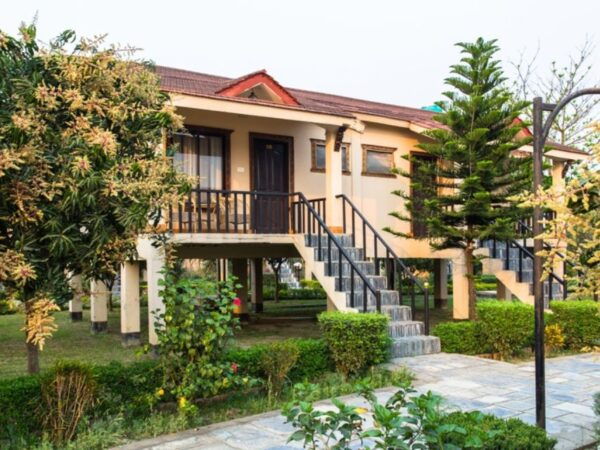 From Kathmandu: 3-Day Chitwan National Park & Elephants Tour - Optional Activities