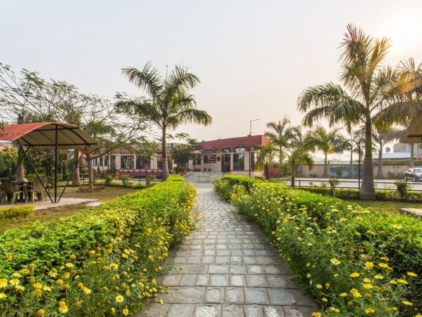 From Kathmandu: 3-Day Chitwan National Park & Elephants Tour - Common Questions