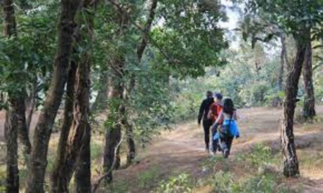 From Kathmandu: 3-Day Nagarkot Trek With Bhaktapur Tour - Trek Itinerary