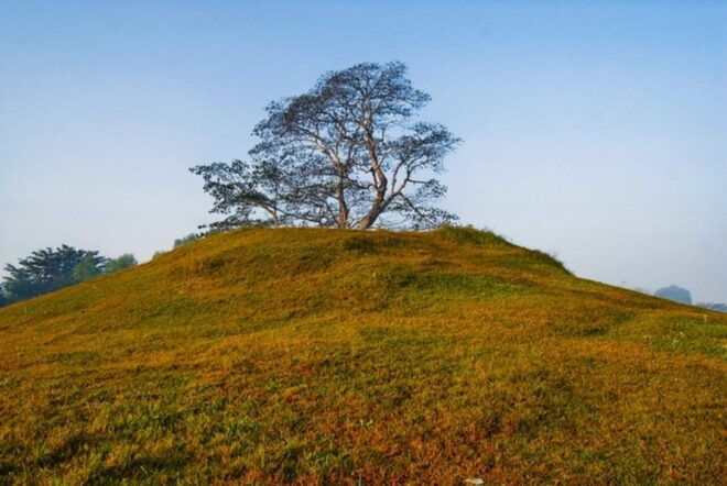 From Kathmandu: 3-Day Tour to Lumbini - Explore Lumbinis Gardens and Monasteries