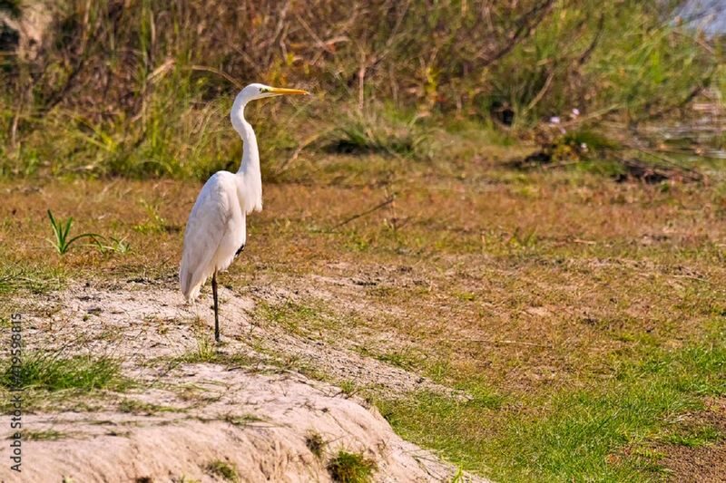 From Kathmandu: 3-Day Wildlife Safari Adventure Tour - Chitwan adds a different side of Nepal