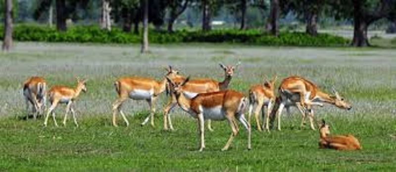 From Kathmandu: 3-Day Wildlife Safari Adventure Tour - What the price covers, and what to check
