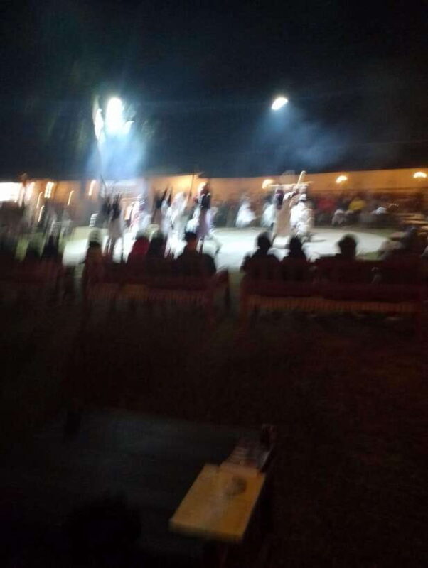 From Kathmandu: 4-Day Chitwan National Park Tour - Final Thoughts: Who Will Love This Tour?