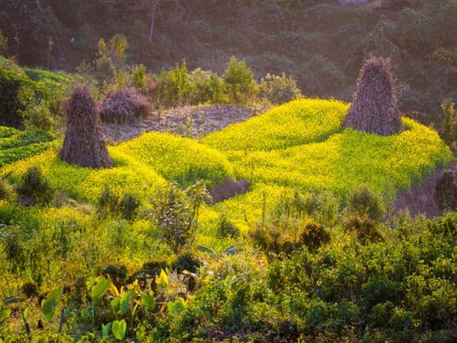 From Kathmandu: 5-Day Chisapani to Nagarkot Trek - Booking and Additional Details