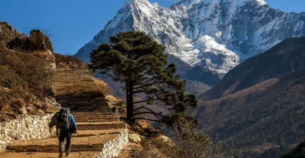 From Kathmandu : 5 Days Ghorepani Poonhill Guided Trek - Tips for a Successful Trek