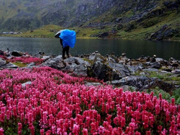 From Kathmandu: 5 Days Panchpokhari Trek - Questions You May Have