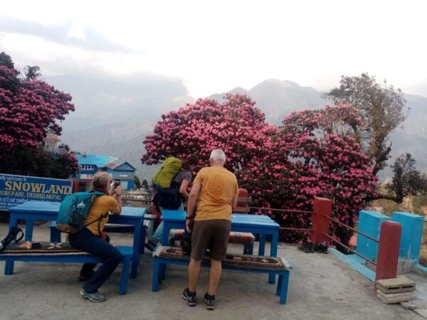 From Kathmandu: 6 Day Amazing 5 Hill Station Nature Trek - Break Down