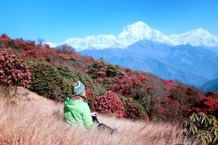 From Kathmandu: 6-Day Ghorepani, Poon Hill and Ghandruk Trek - Experience Highlights