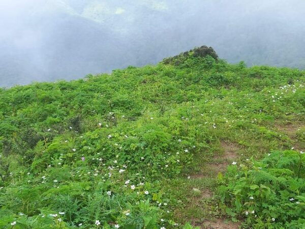 From Kathmandu : 6-Day Ghorepani Poon Hill Monsoon Trek - Booking and Tips