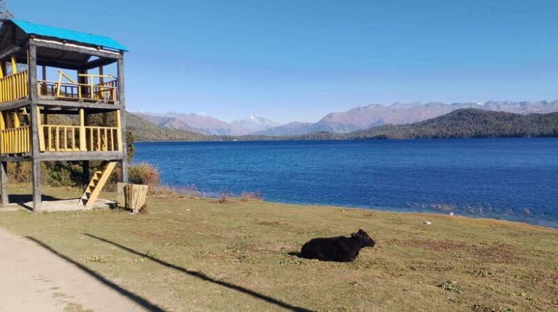 From Kathmandu: 7-Day Jeep Tour to Rara Lake. - What’s Included and What’s Not