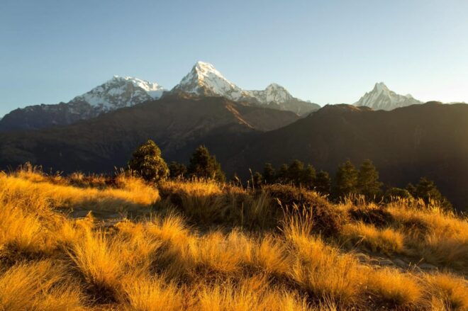 From Kathmandu: 7 Days Annapurna Poon Hill Trek - Important Participant Information