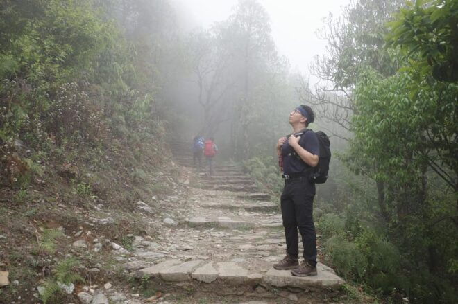 From Kathmandu : 7 Days Mardi Himal Trek - Inclusions and Support