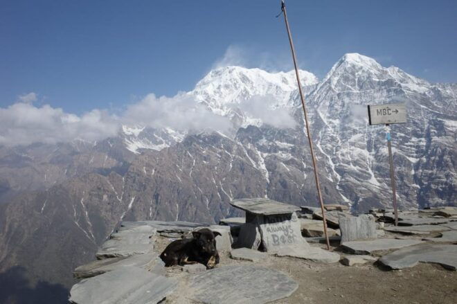 From Kathmandu : 7 Days Mardi Himal Trek - Important Travel Information