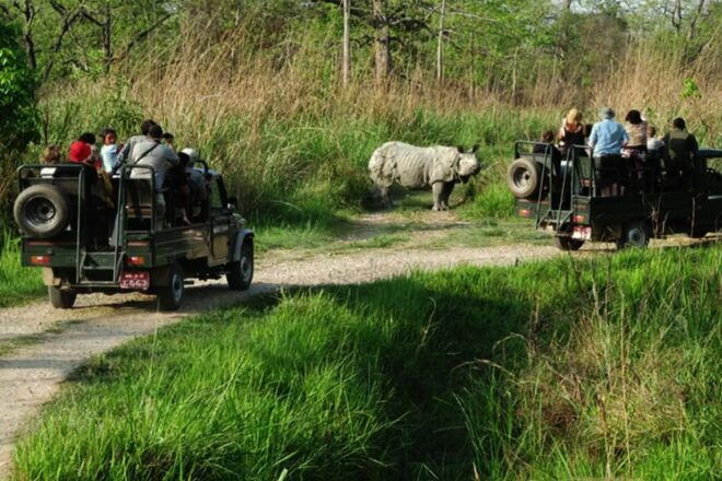 From Kathmandu: 8-Day Nepal Tour With Pokhara and Chitwan - Travel Tips and Recommendations