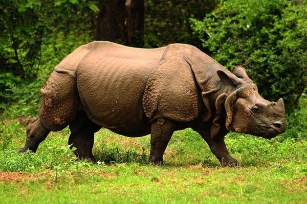 From Kathmandu: 8-Day Nepal Tour With Pokhara and Chitwan - Booking Information