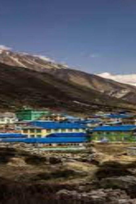 From Kathmandu: 8- Days Langtang Valley Trek - Inclusions and Services
