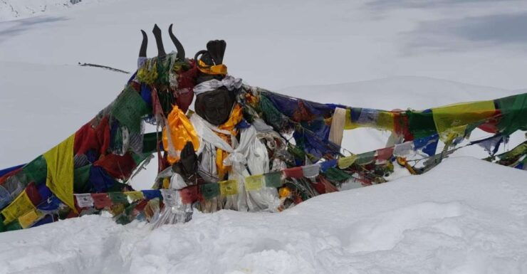 From Kathmandu Budget: 10 Day Guided Annapurna Basecamp Trek - Pickup and Private Group Experience