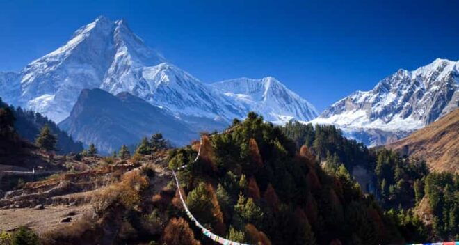 From Kathmandu : Budget 15 Days Manaslu Circuit Trek - Inclusions and Services