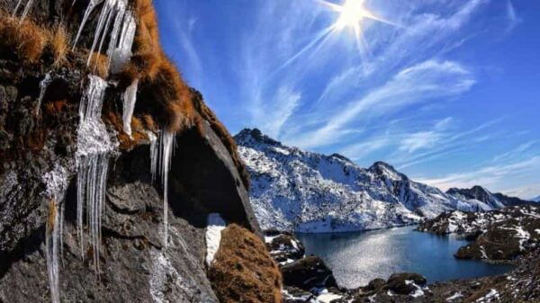From Kathmandu: Budget 7- Day Langtang Valley Trek - Break Down