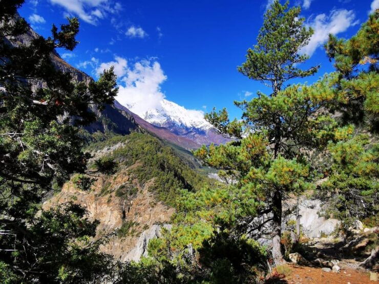 From Kathmandu Budget: 8 Day Private Annapurna Circuit Trek - Detailed Itinerary