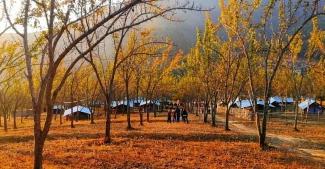 From Kathmandu: Chitlang, Kulekhani, and Markhu 2-Day Tour - Experience Highlights