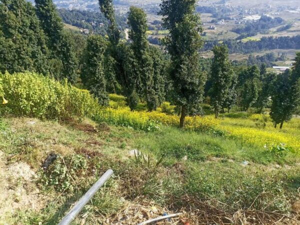 From Kathmandu: Full Day Nagarkot Hiking With Lunch - The Sum Up
