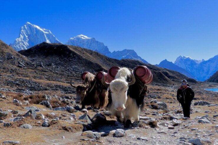 From Kathmandu : Gay and Lesbian Trek to Everest Base Camp - Inclusive Experience