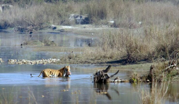 From Kathmandu: Guided 3-Days Bardia National Park Tour - Highlights of the Tour